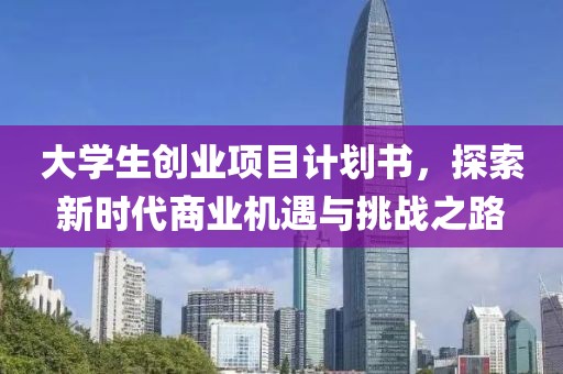 大学生创业项目计划书，探索新时代商业机遇与挑战之路