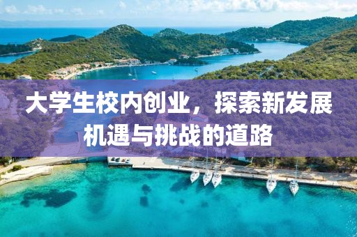 大学生校内创业，探索新发展机遇与挑战的道路