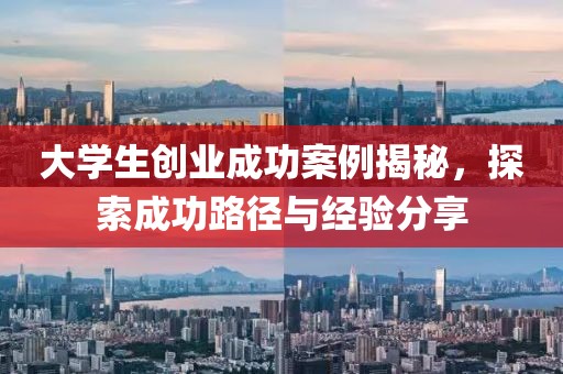 大学生创业成功案例揭秘，探索成功路径与经验分享