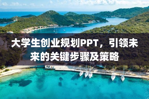 大学生创业规划PPT，引领未来的关键步骤及策略