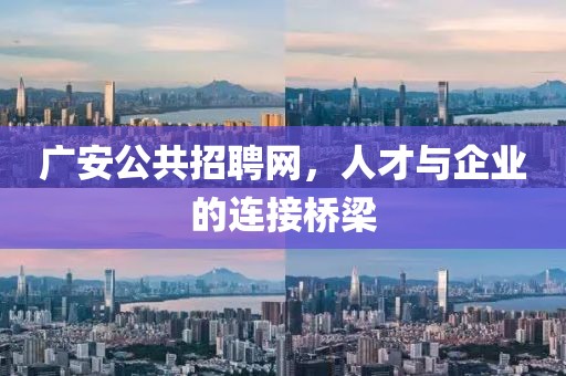 深圳捷信隆商务秘书有限公司 第102页