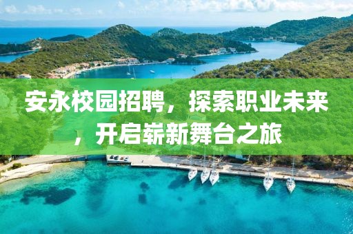 安永校园招聘，探索职业未来，开启崭新舞台之旅