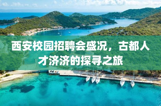 西安校园招聘会盛况，古都人才济济的探寻之旅