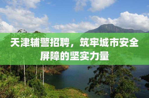 天津辅警招聘，筑牢城市安全屏障的坚实力量