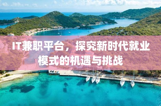 IT兼职平台，探究新时代就业模式的机遇与挑战