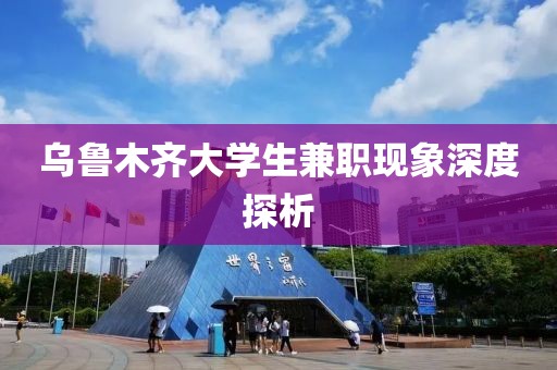 乌鲁木齐大学生兼职现象深度探析