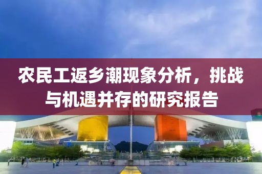 农民工返乡潮现象分析，挑战与机遇并存的研究报告